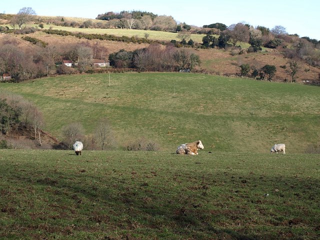 File:Across Great Combe from the south - geograph.org.uk - 1180087.jpg