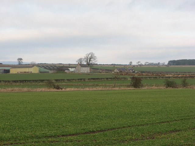 File:Angelrow - geograph.org.uk - 297438.jpg