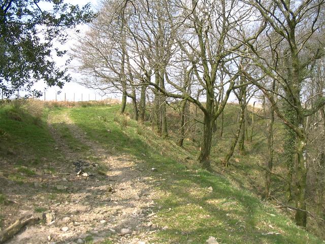 File:Bridle path near Giedd River - geograph.org.uk - 396912.jpg