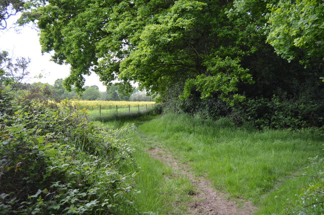 File:Bridleway by Greenfield Shaw - geograph.org.uk - 5117281.jpg