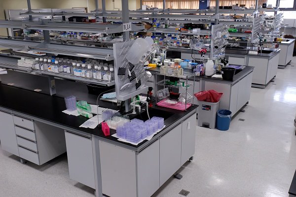 File:CICB's Laboratory.jpg