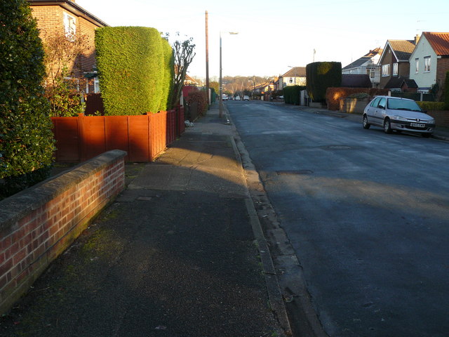 File:Carrfield Avenue Toton - geograph.org.uk - 1076109.jpg