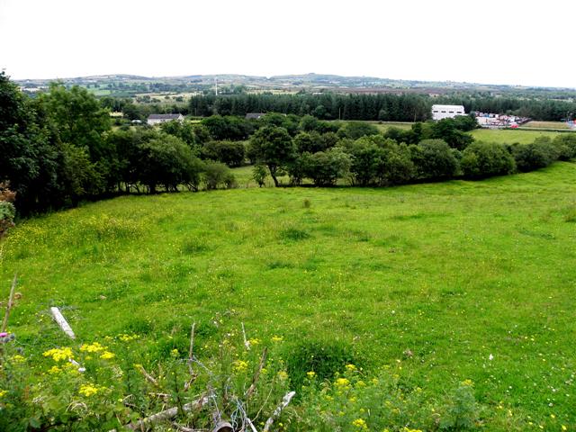 File:Carrickmore Townland - geograph.org.uk - 3557955.jpg