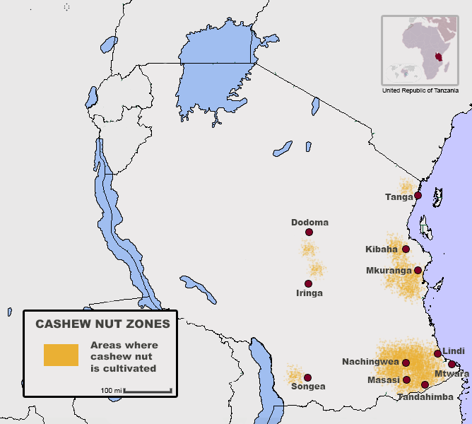 Cashew Production In Tanzania Wikipedia