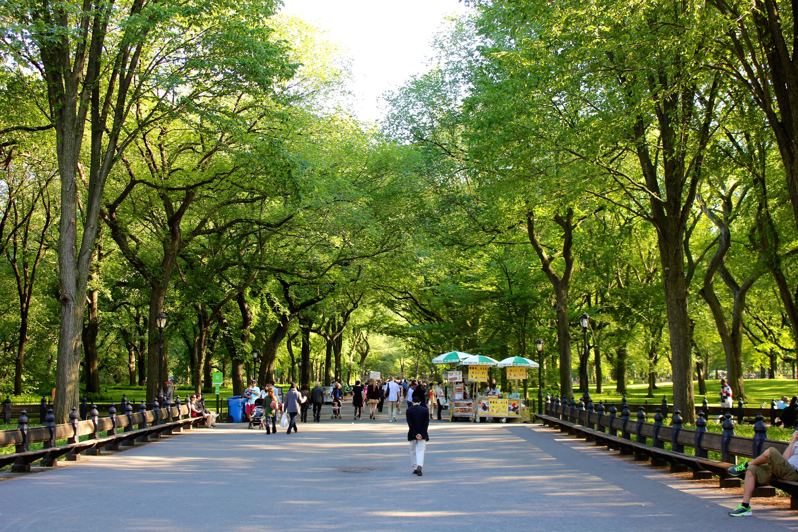 Фото парка центральный парк. Central Park Бишкек. Центральный парк HCMC’. Центральный парк Запорожье. In the Park.