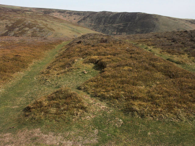 File:Cross Dyke close-up - geograph.org.uk - 401339.jpg