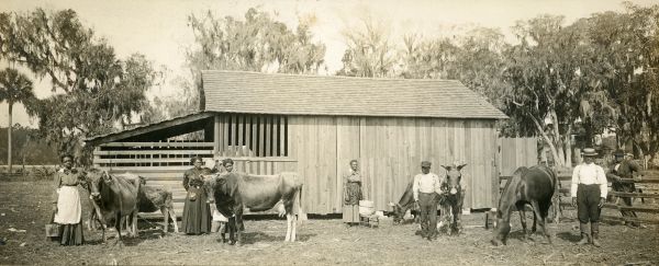 File:Daytona Normal and Industrial Institute at their barn Pr00785.jpg