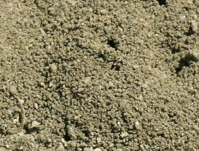 File:Dirt.jpg - Wikipedia