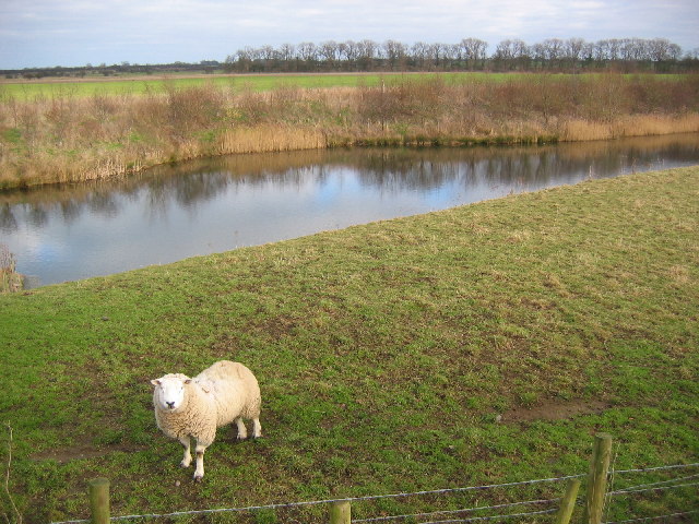 File:East of Hempholme - geograph.org.uk - 114725.jpg