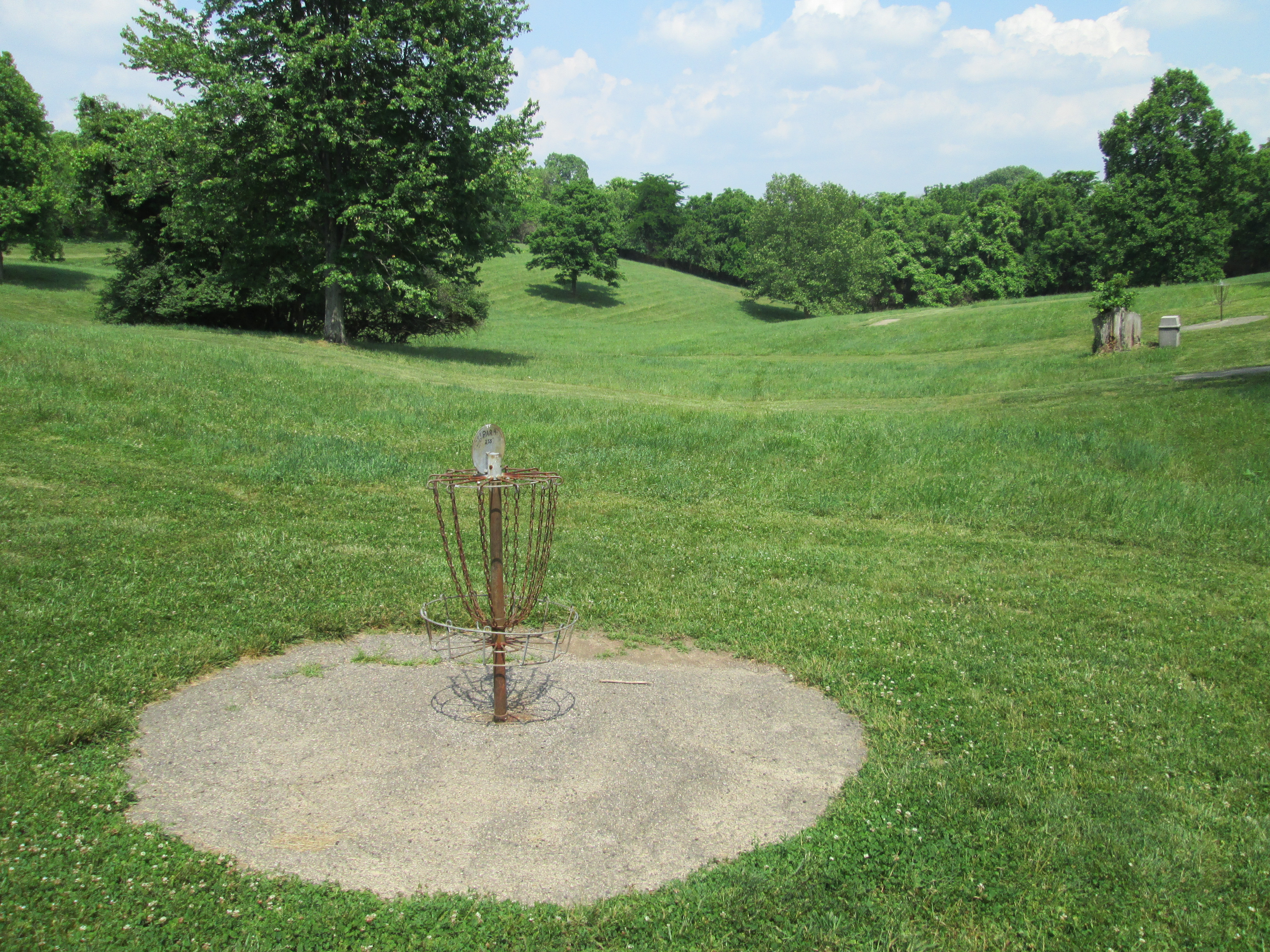 Диск гольф. Tamsalu Disc Golf course. Диск гольф парк проект. Диск гольф сад будущего.