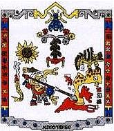 Escudo de Xicotepec