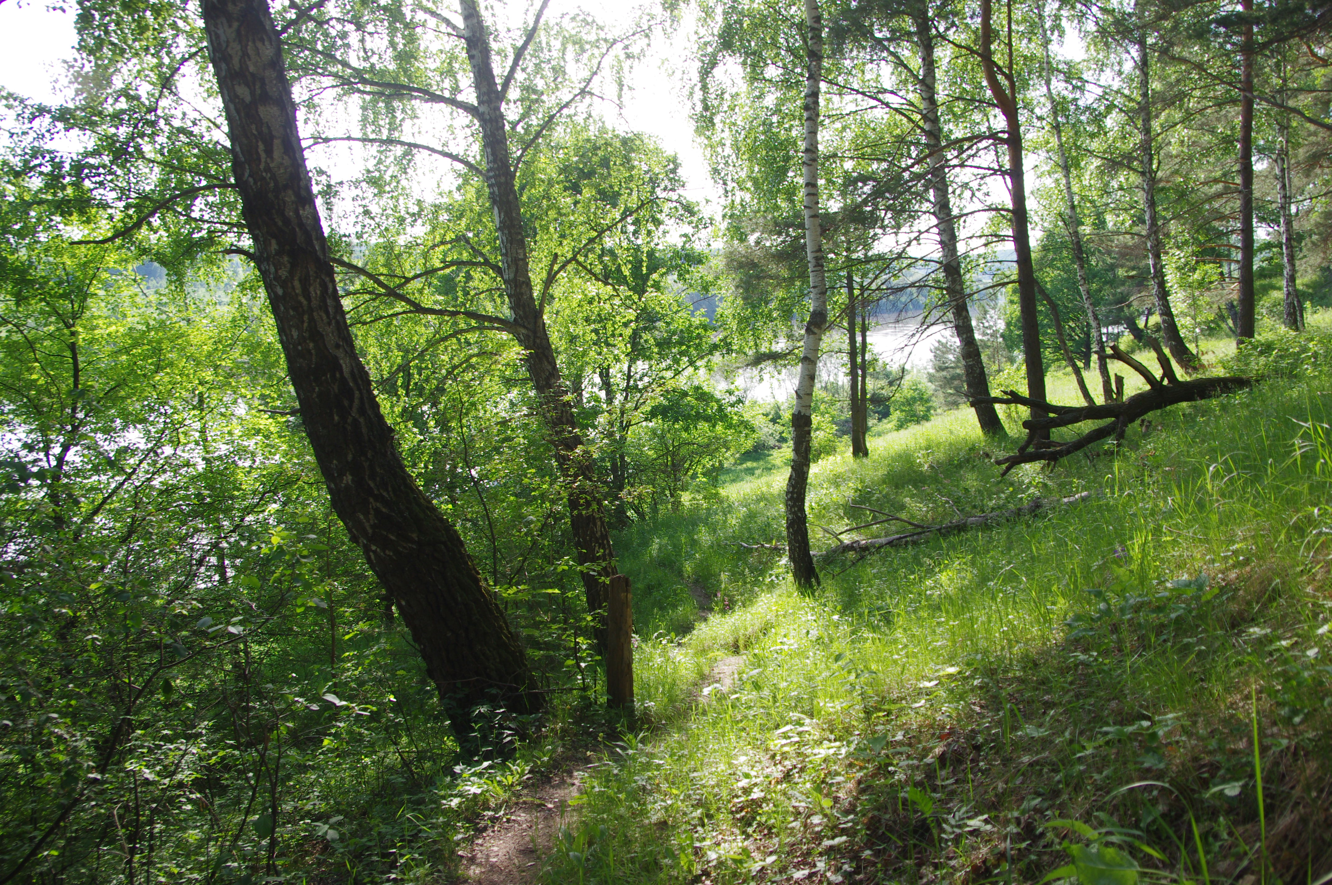 Село восход калужская область