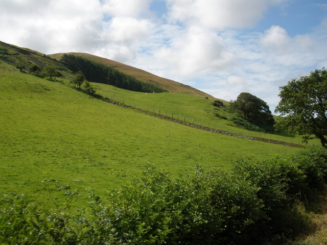 File:Ffridd Bryn-glas - geograph.org.uk - 1415201.jpg