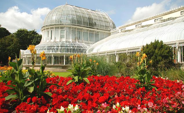 File:Flower bed, Botanic Gardens, Belfast - geograph.org.uk - 1454550.jpg