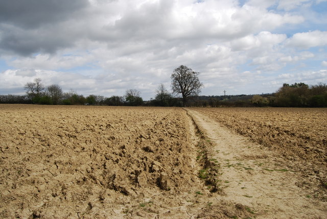 File:Footpath across a ploughed field south of Chiddingstone (2) - geograph.org.uk - 1260314.jpg