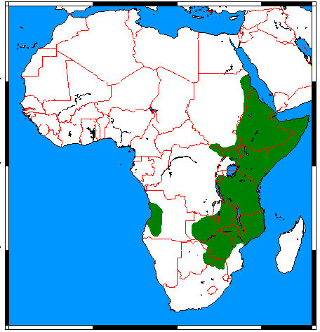 File:Heterohyrax bruceii range map.png