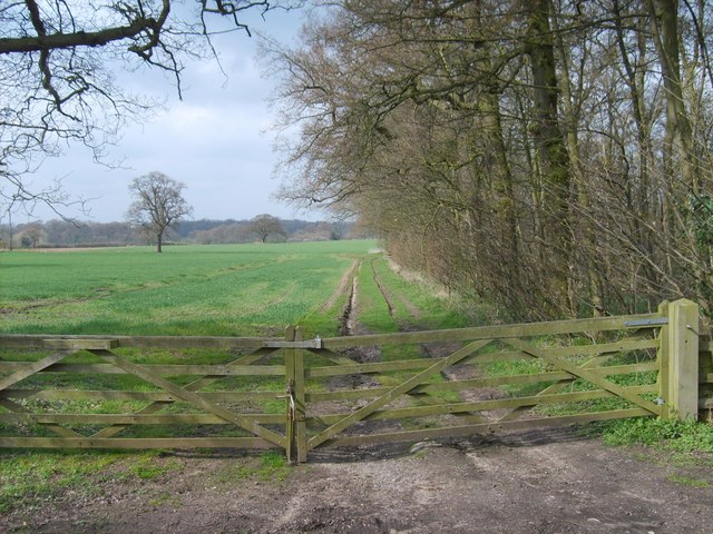 File:Horse Paddock Wood - geograph.org.uk - 788045.jpg