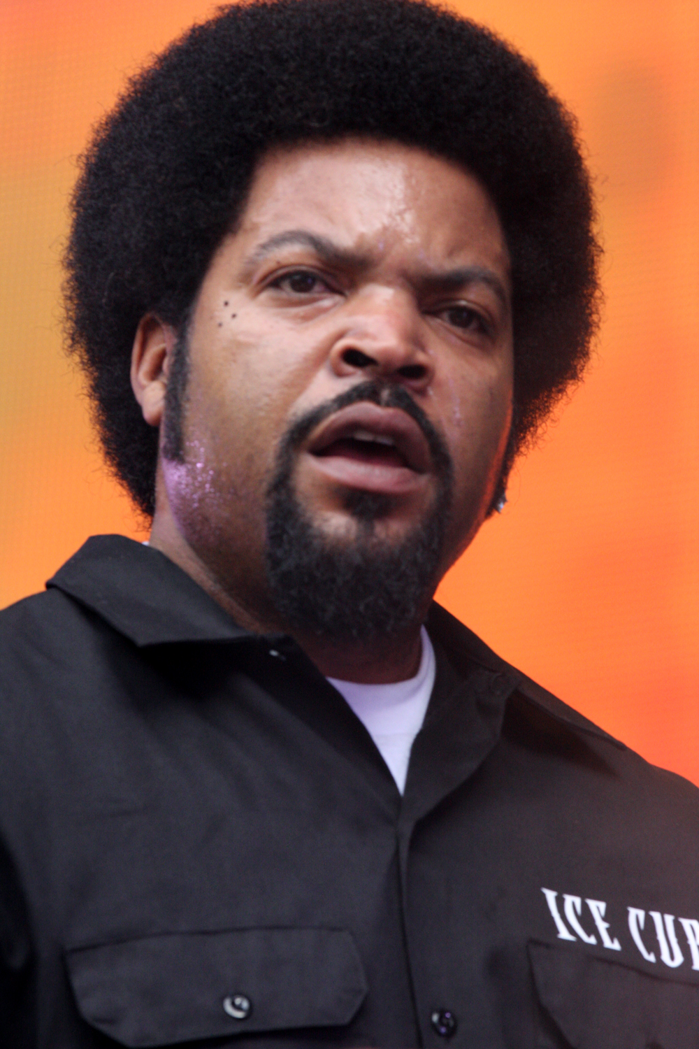 Ice Cube 2012.jpg