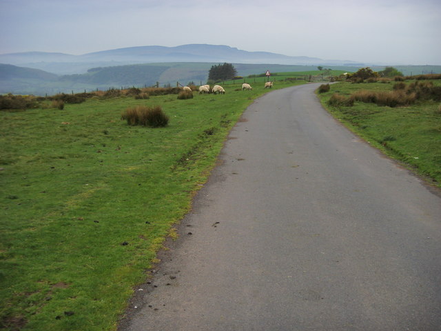 File:Lane heading towards Cattle Grid - geograph.org.uk - 799034.jpg