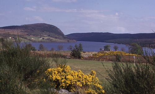 File:Loch Migdale - geograph.org.uk - 2872.jpg