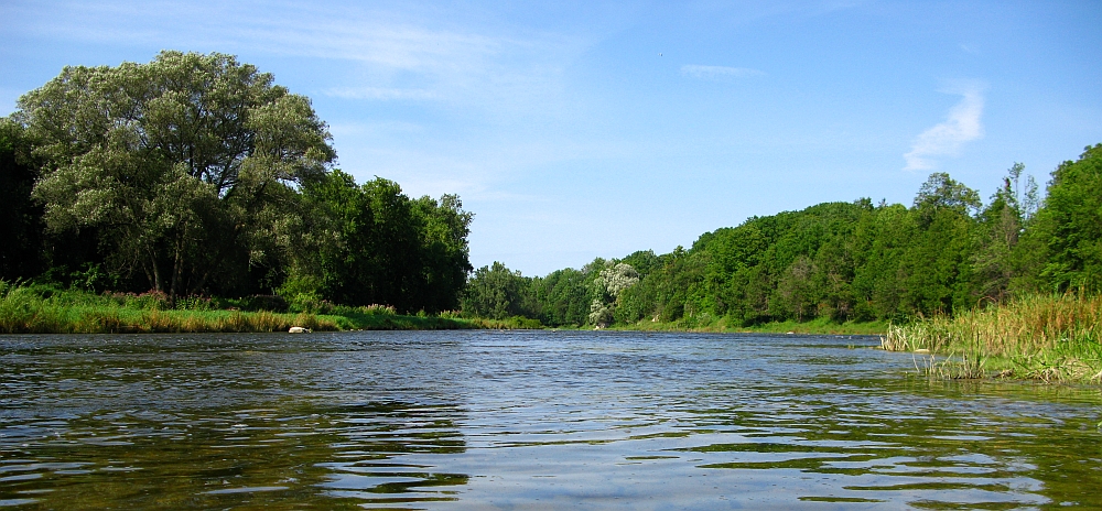 Photo of Maitland River