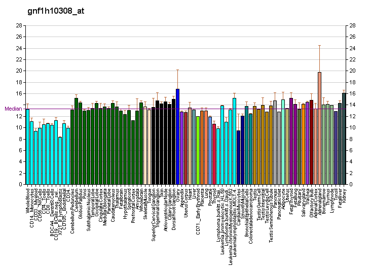 File:PBB GE OXGR1 gnf1h10308 at fs.png