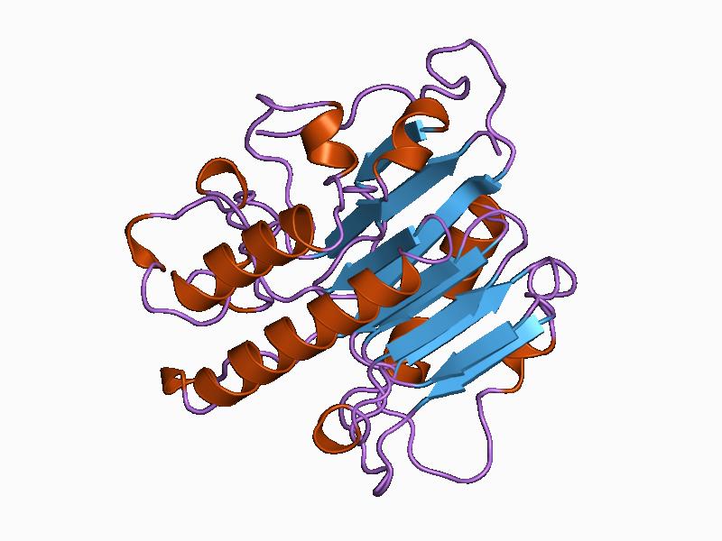 File:PDB 1bix EBI.jpg