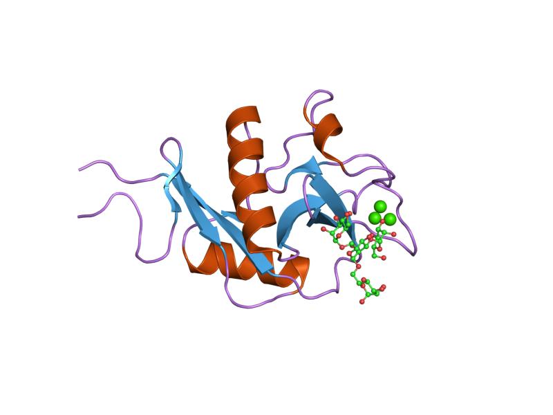 File:PDB 1sl4 EBI.jpg