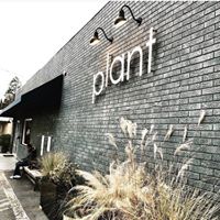 Plant, a vegan restaurant in Asheville, North Carolina