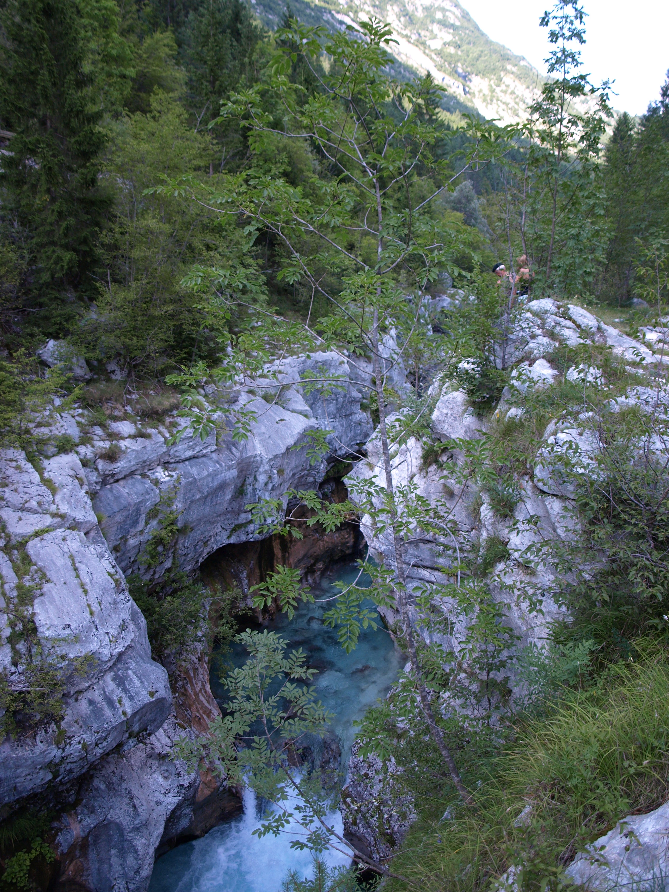 Bloemensdike Ravine.