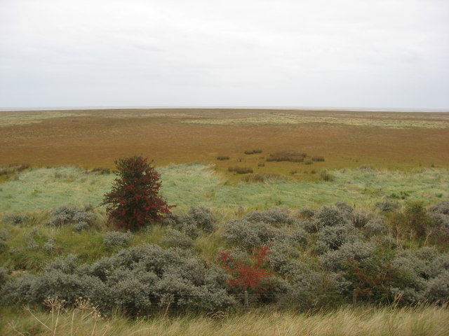 File:Saltfleetby - Theddlethorpe Dues NNR - geograph.org.uk - 1500550.jpg