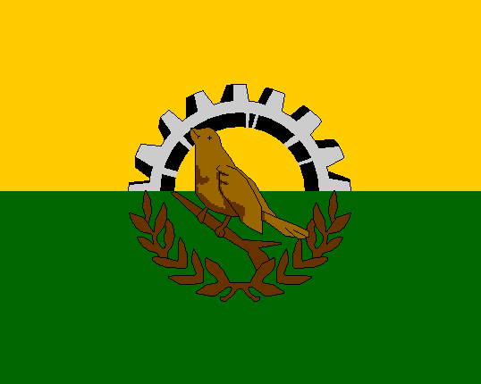 File:San Pedro Sula Flag.png