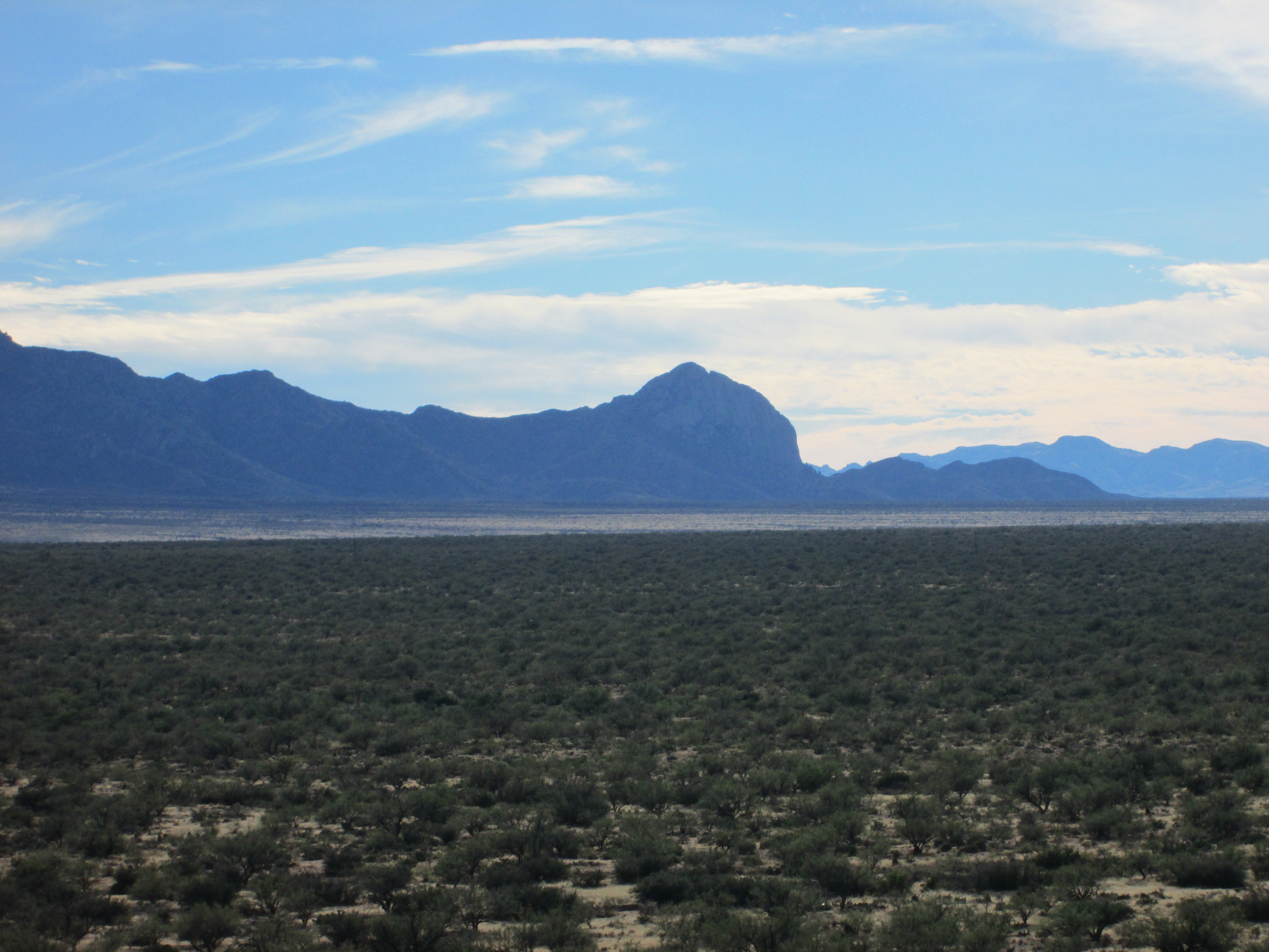Южный заметить. Пустыня Сонора. Санта в пустыне. Сонора пустыня границы. Штат Сонора фото.