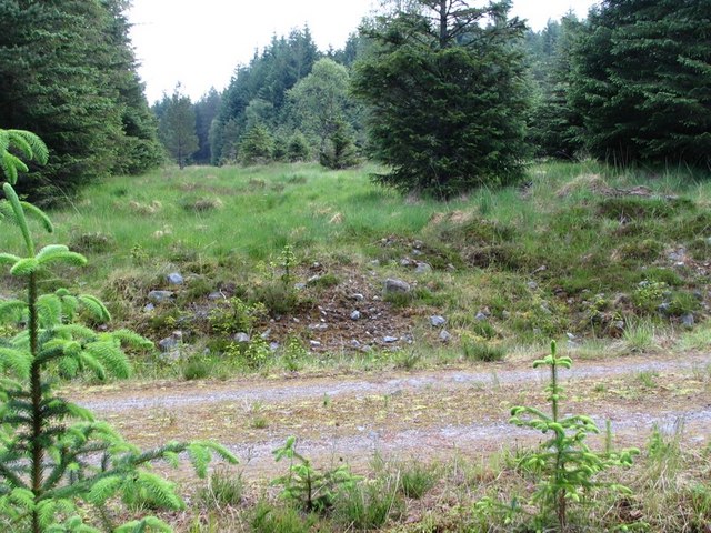 File:Start of forest ride from track - geograph.org.uk - 463799.jpg