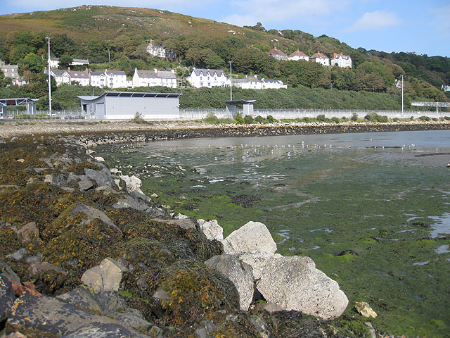 Tide out, birds in, Fishguard harbour - geograph.org.uk - 1531701