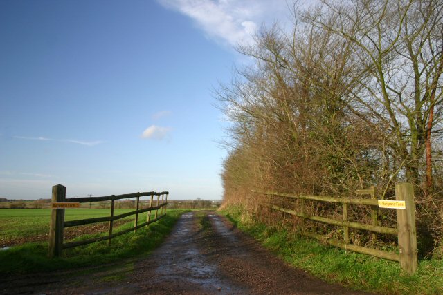 File:Track to Bungeons Farm - geograph.org.uk - 314720.jpg