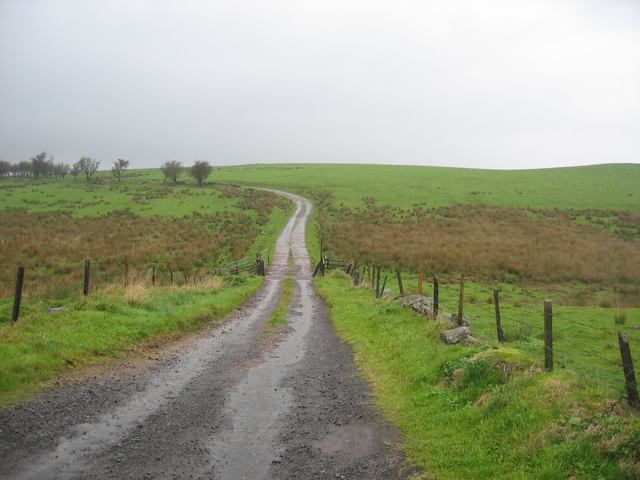 File:Track to Driffenbeg Farm - geograph.org.uk - 259313.jpg