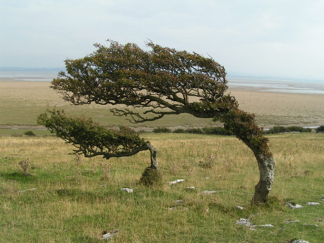 Humphrey Head