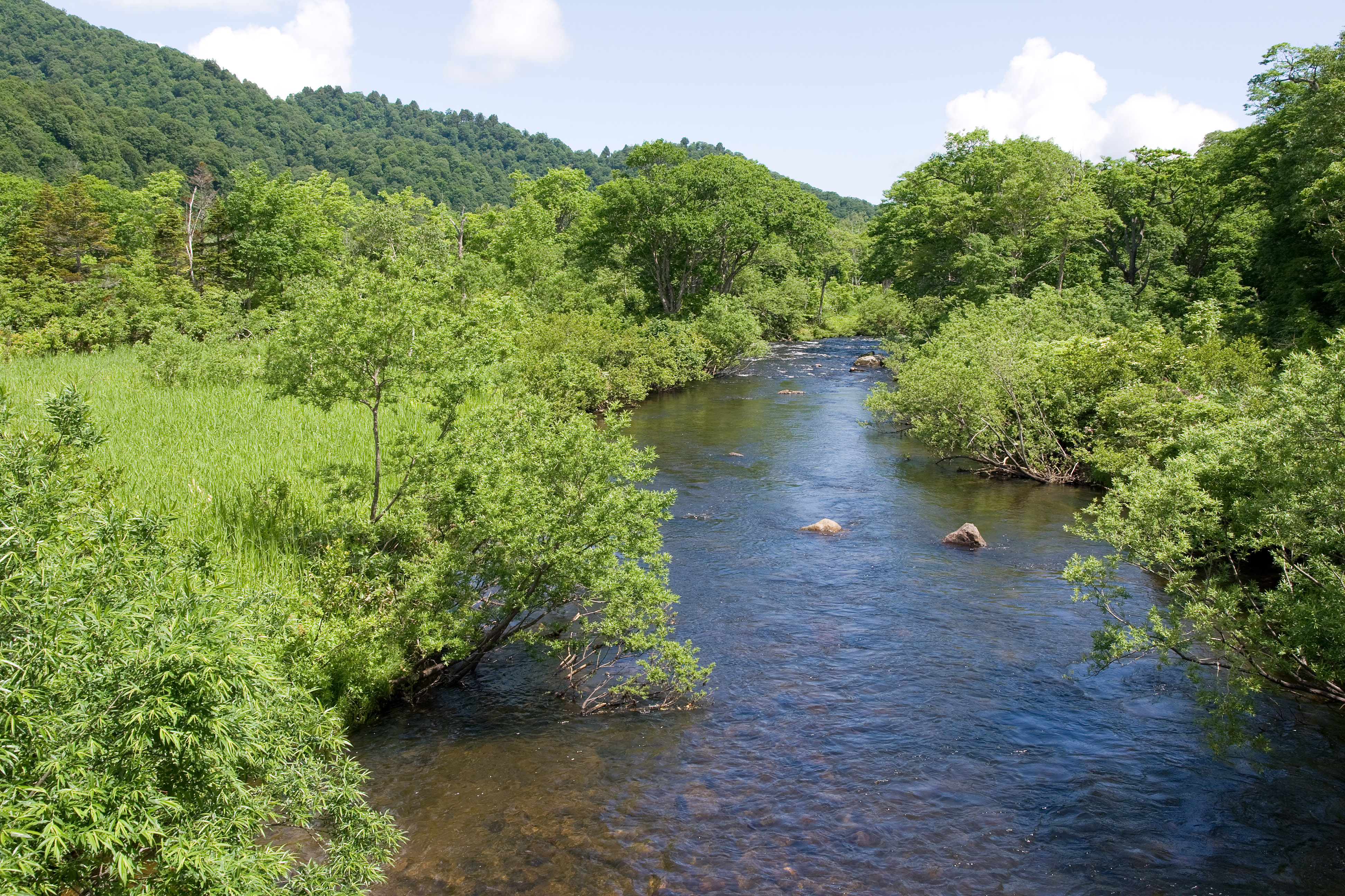 Первая река в мире. Река 1-й категории. Дау река 1. Yoppi. I-River 1 GB.