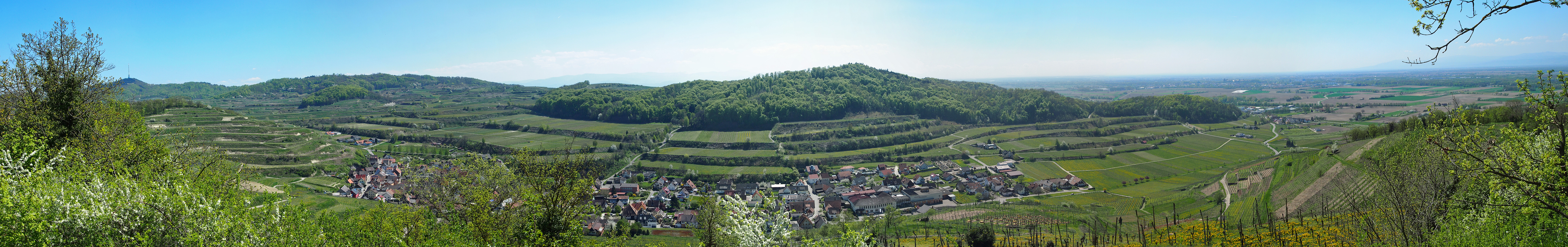 Achkarren-Panorama.jpg