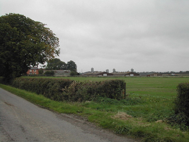 File:Battery Farming, Hose Lodge Farm - geograph.org.uk - 54956.jpg