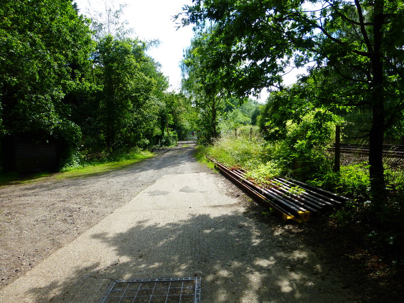 File:Beside the tracks near Witley Station - geograph.org.uk - 4057095.jpg