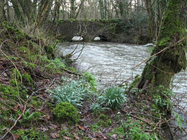 File:Bridge over Mells River - geograph.org.uk - 346550.jpg