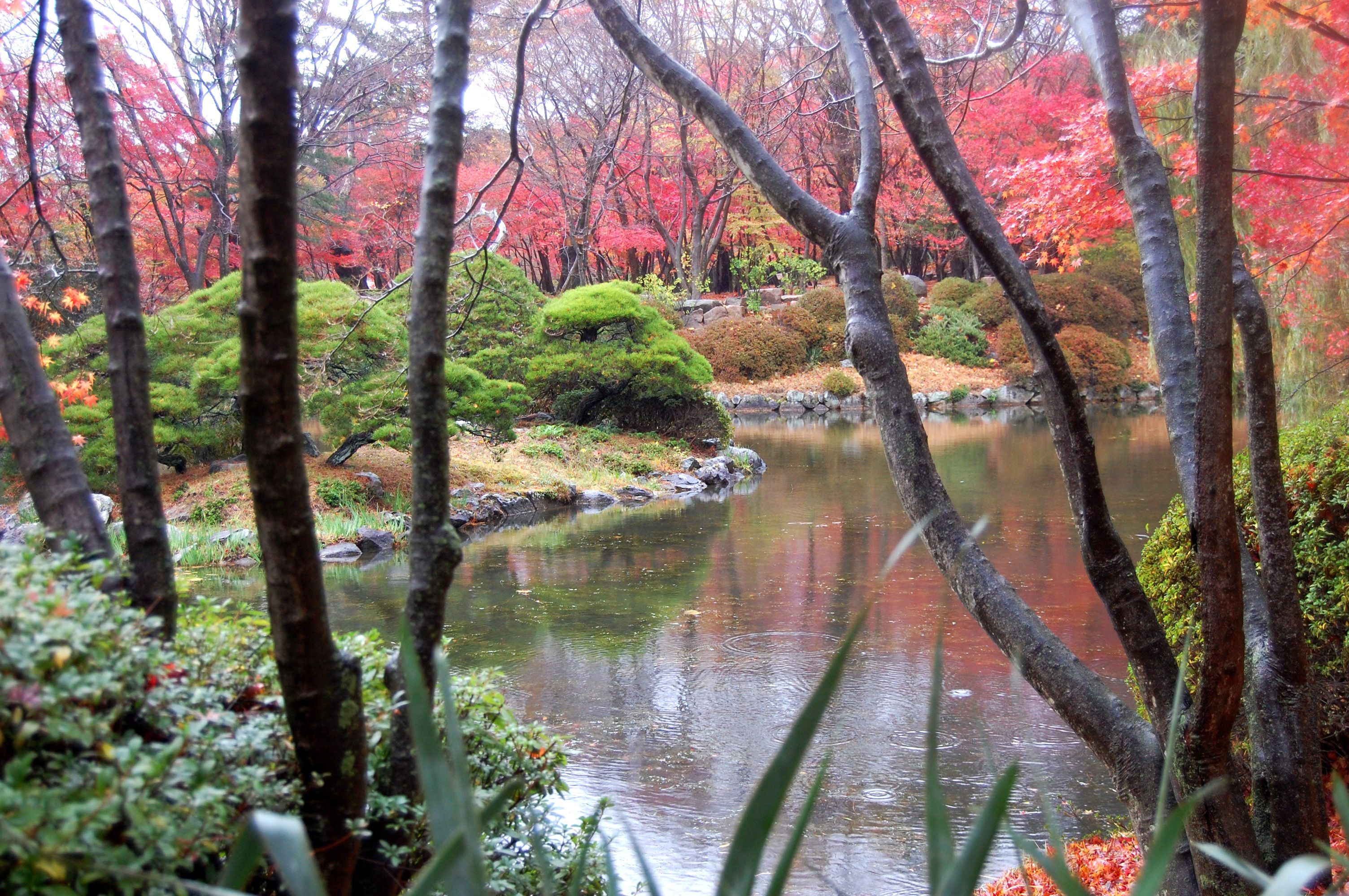 File:Bulguksa Lake scenery.jpg - Wikimedia Commons