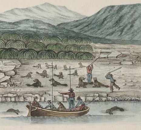 File:Butterworth Squadron Clubbing Seals, Staten Island 1792.jpg