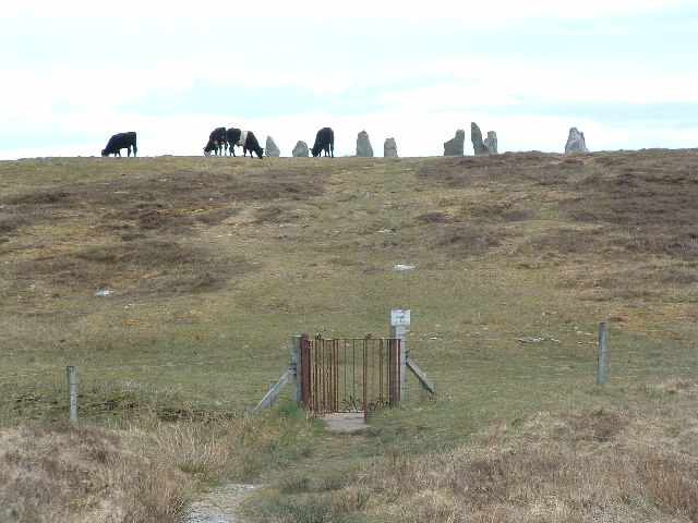 File:Calanais 2 - geograph.org.uk - 35653.jpg