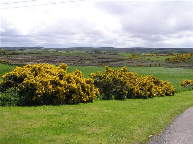 File:Crockmakeran Townland, Carrickmore - geograph.org.uk - 173386.jpg