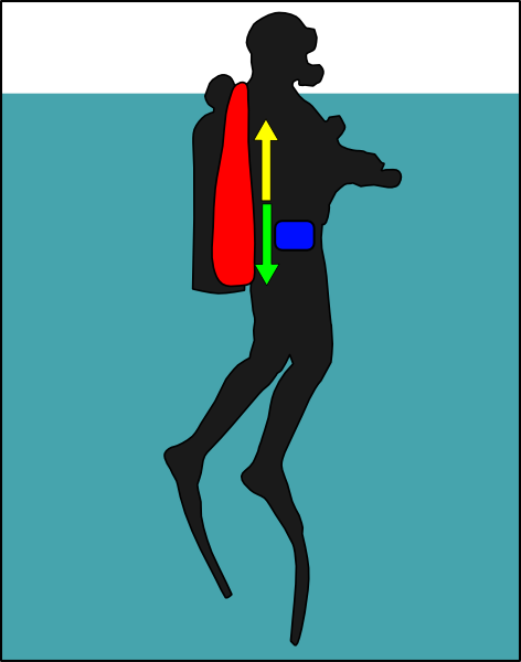 File:Diver with wing at surface.png