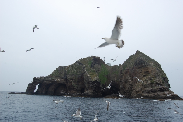 File:Dokdo 080628 2.jpg