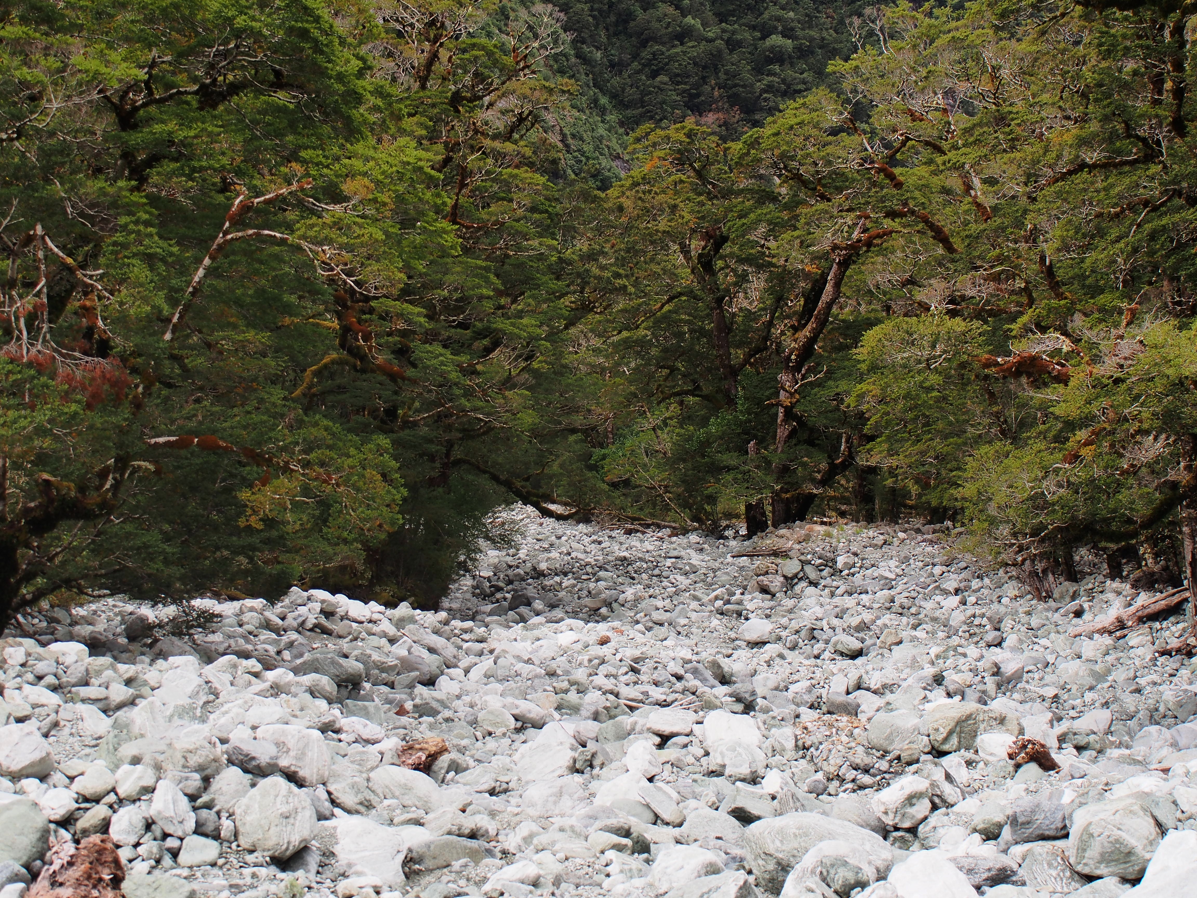 Dry river. Dry Riverbed. Боулдер-Ривер три пальца. Три пальца в дикой местности Боулдер-Ривер.